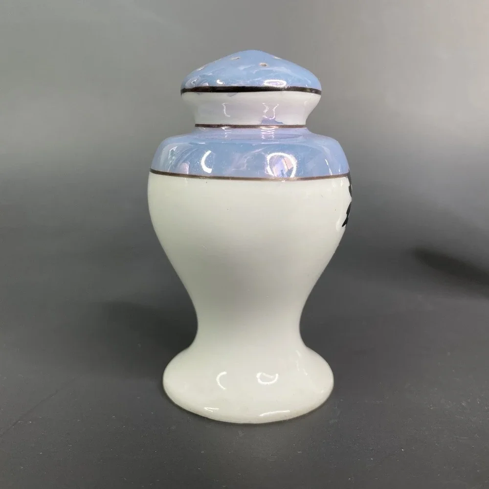 Vintage Lustreware Salt & Pepper Shaker Set Japan Porcelain Hand Painted Parrots